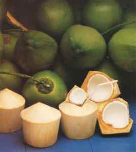 coconuty