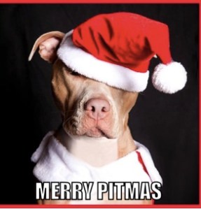 merry pitti