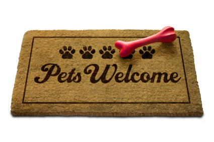 425x282xfind-pet-friendly-restaurants-at-pet-hotels-of-america1-jpg-pagespeed-ic