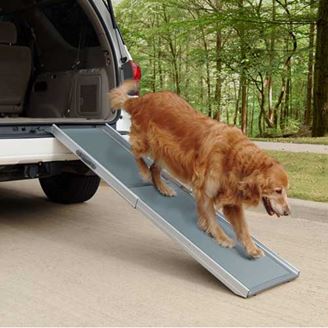 0000611_deluxe-telescoping-pet-ramp_328