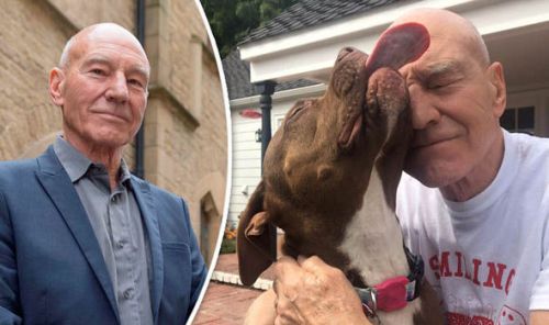 Patrick-Stewart-dog-790551