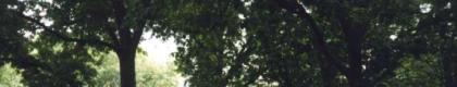 cparktrees1.jpg