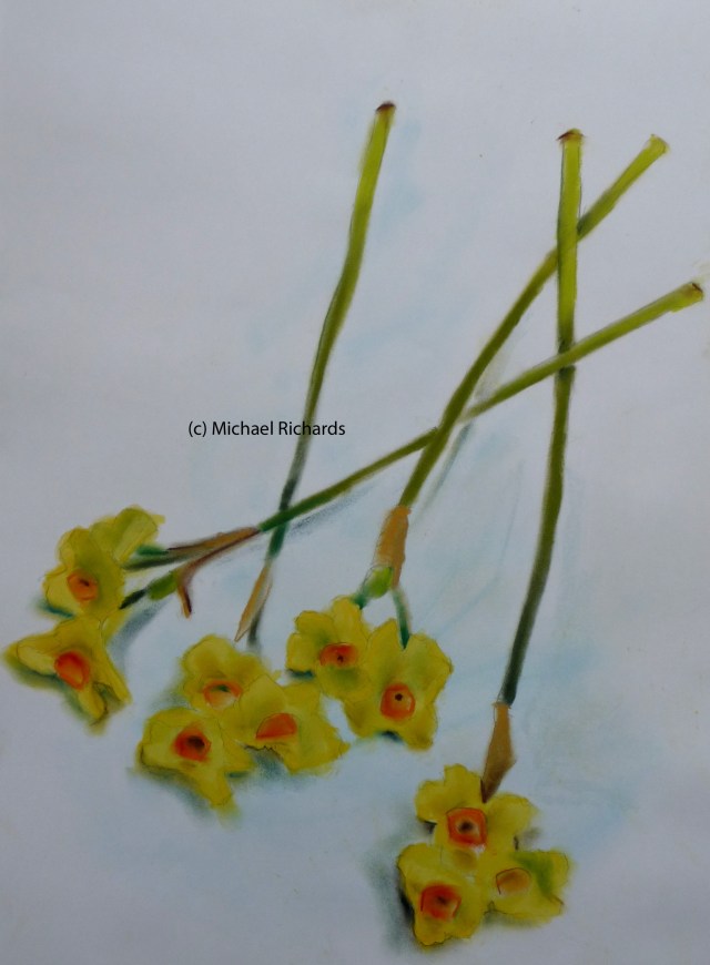 Narcissi blog