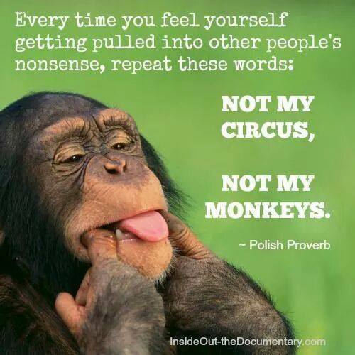 monkey