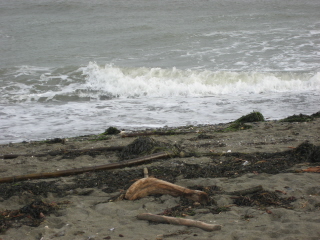 cb-the-beach.jpg