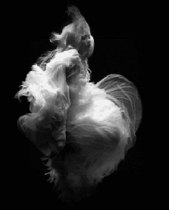 drown