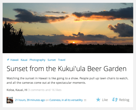 WordPress reader blog feed example.