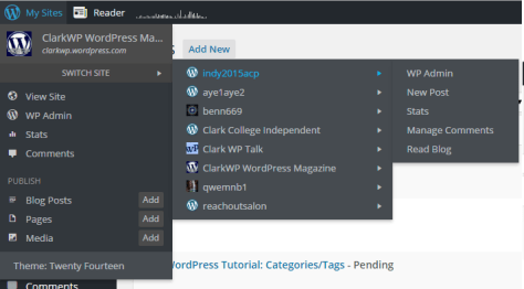WordPress Tutorial All My Sites Function2