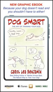 smartbusinesscard