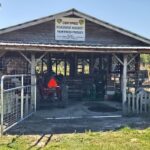 Grower Spotlight – Jebali Farms