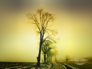 dirtroad dirtroad