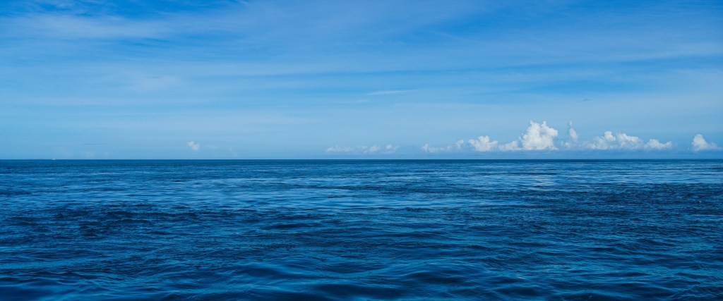 These Particular Blues