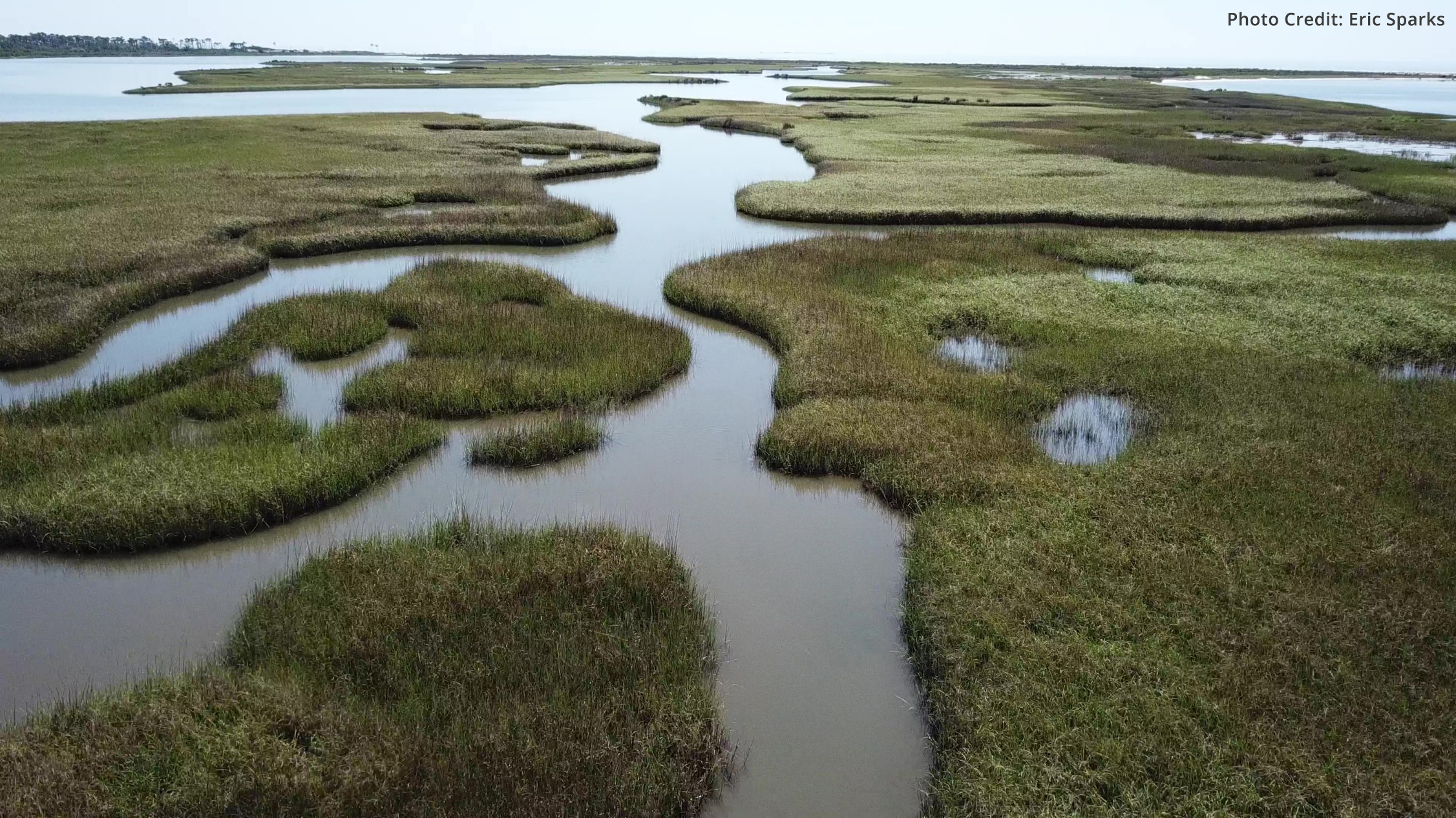 An aerial view of a marshy area with water winding through grass.