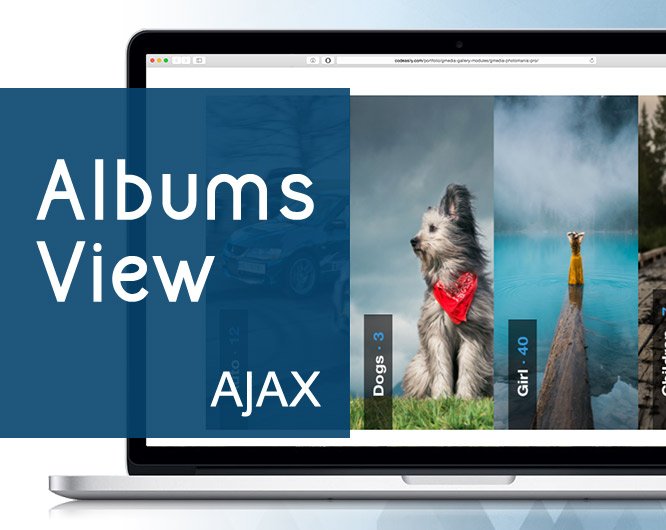 AlbumsView
