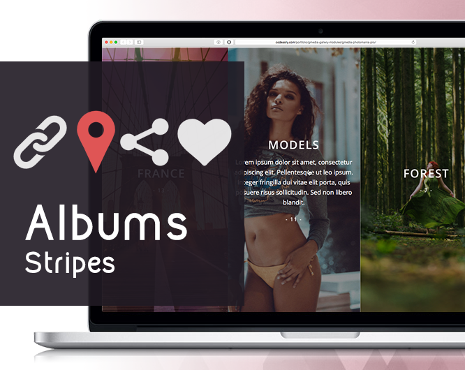 Albums Stripes
