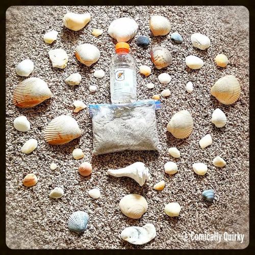My prized ocean loot collection...