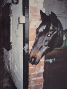 Misty Star aged 30
