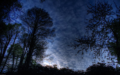 dark_night_large.jpg
