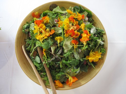 Little City Gardens salad
