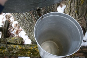 IMG_6119