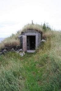 sod cellar IMG_7211
