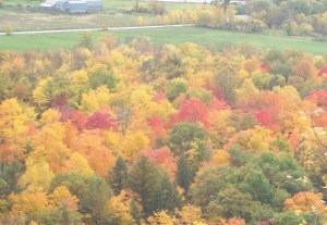 100_2346 (3)