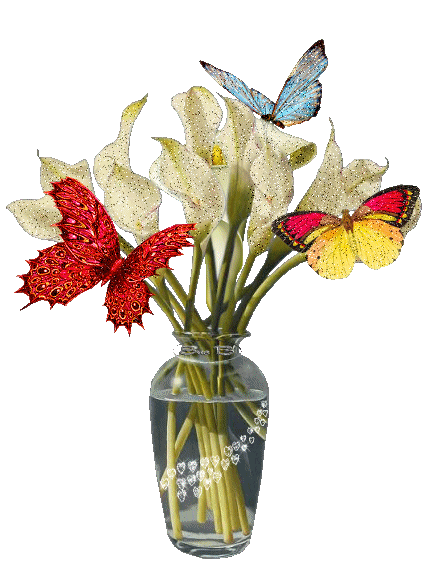 butterfly and vase