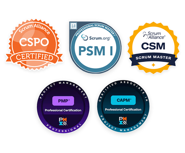 Certified AI Agile Project Team