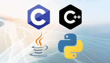 Complete Code Camp on C , C++, Java and Python