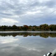 Looking off the bow of a boat headed downstream on the Maurice River towards the far shore