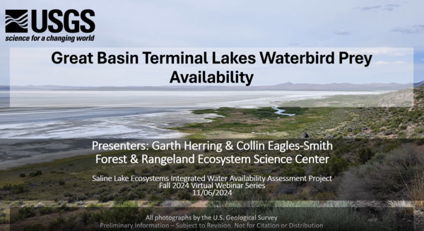 title slide of a presentation on Great Basin terminal lakes waterbird prey availability