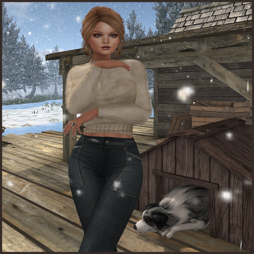 MAYA