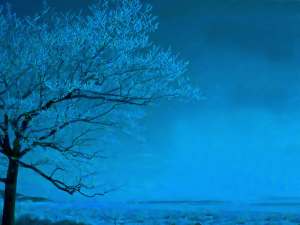 Light-Blue-7