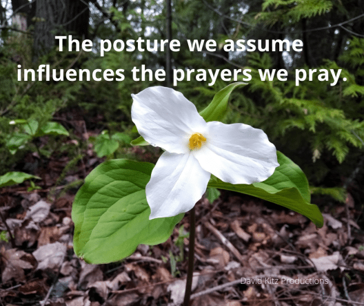 Prayer Posture Psalms 365
