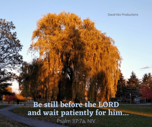Psalm 37_7