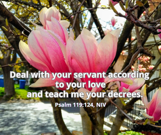 Psalm 119_124