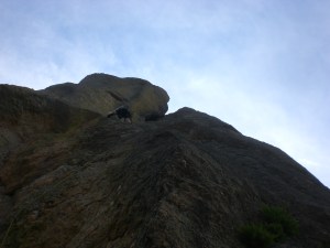 CIMG3738