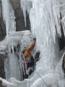 mt 019