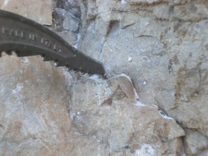 CIMG3871