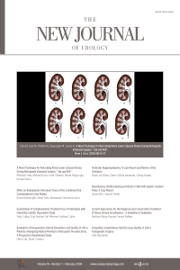 The New Journal of Urology