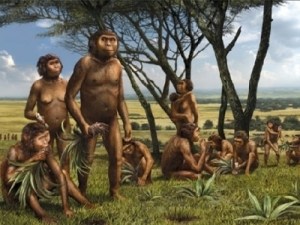 1-hominids(1)