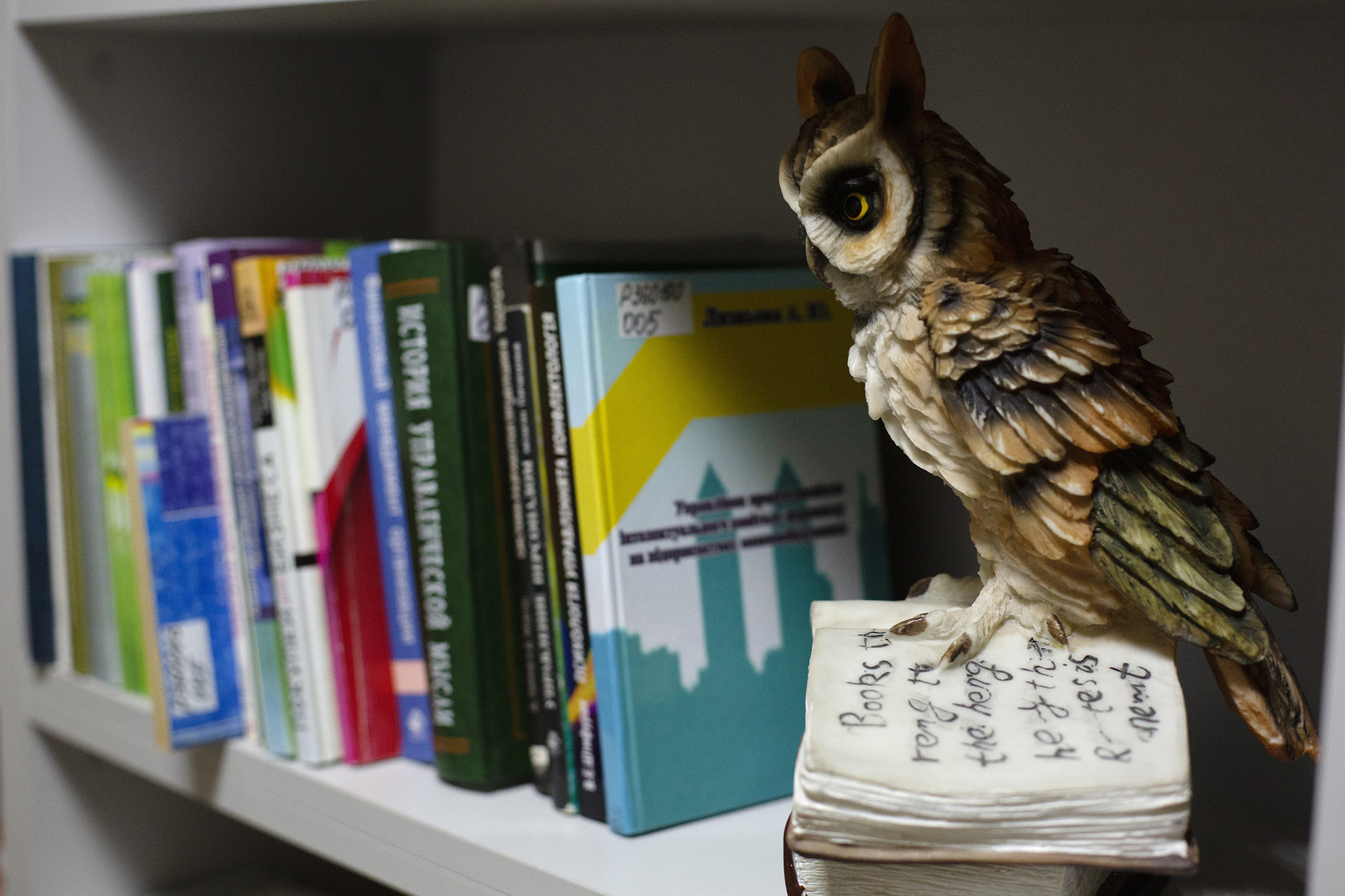 Бібліотека інтер'єр