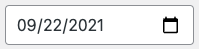 Date input field