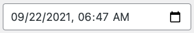 Date / Time input field