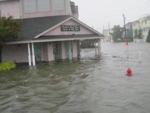 Sandy1