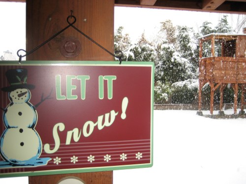 backyard-afternoon-let-it-snow backyard-afternoon-let-it-snow