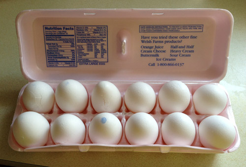 One dozen eggs in a styrofoam carton