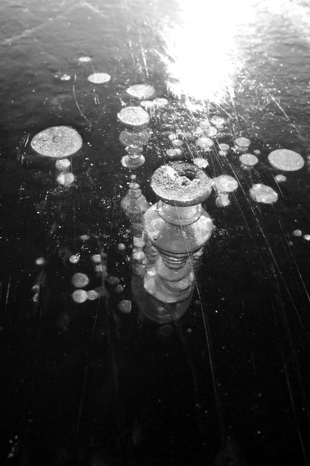 bubbles