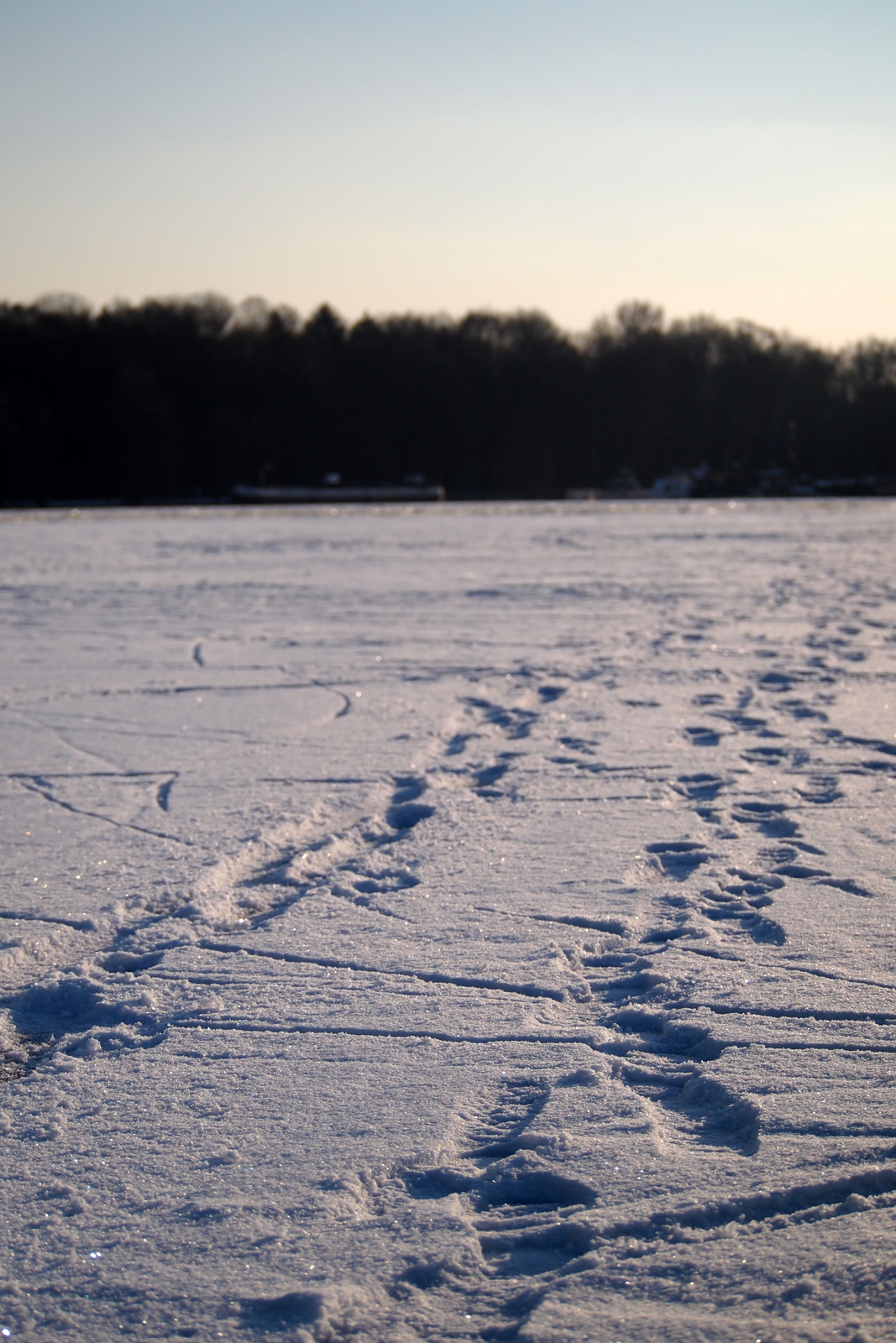 trails again