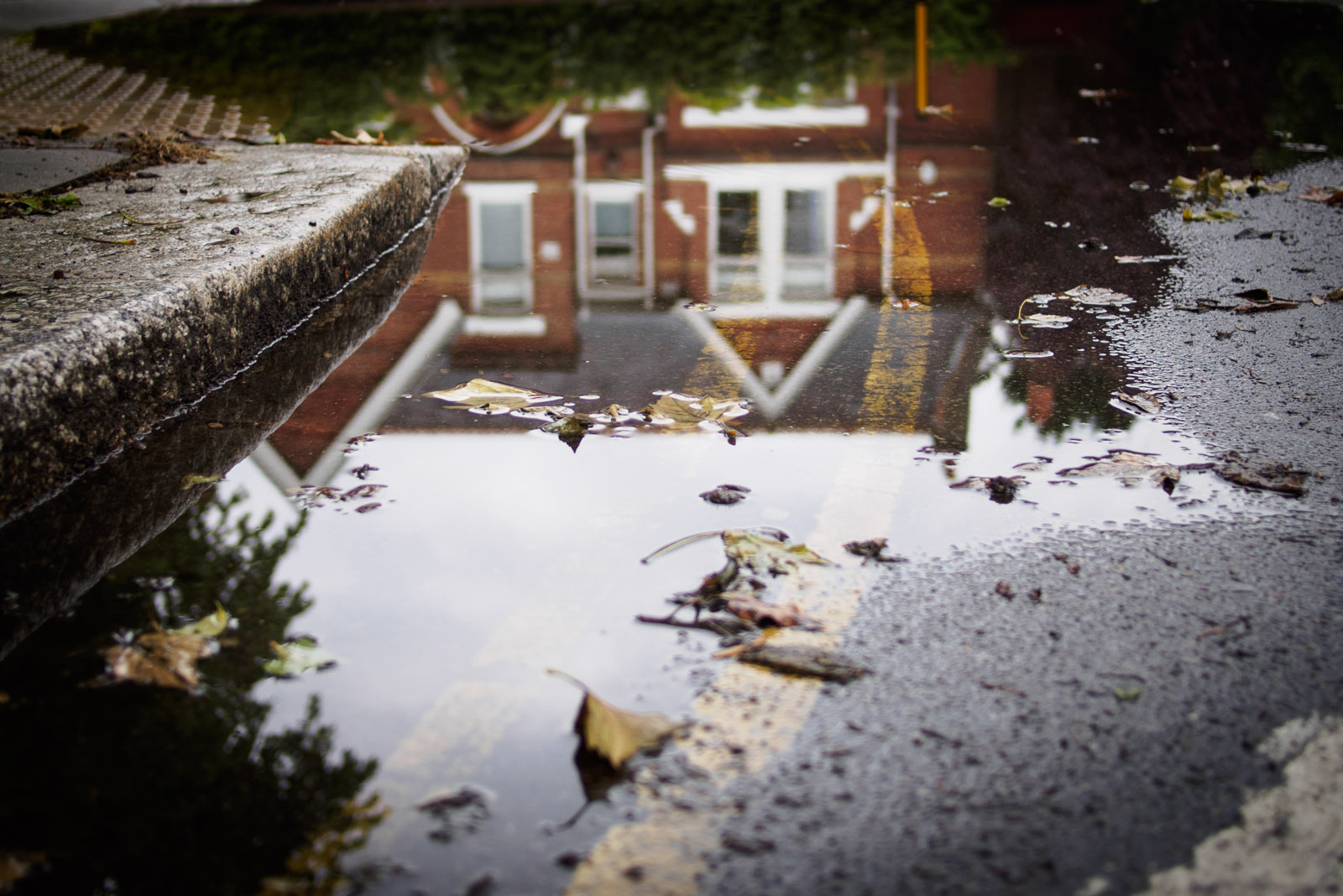 classic puddle treatment